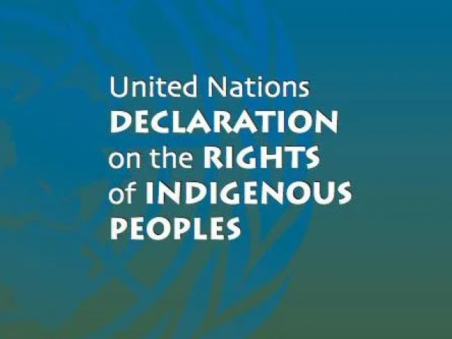 اعلاميه سازمان ملل متحد درباره حقوق مردمان بومي (مصوب 2007 مجمع عمومی)  